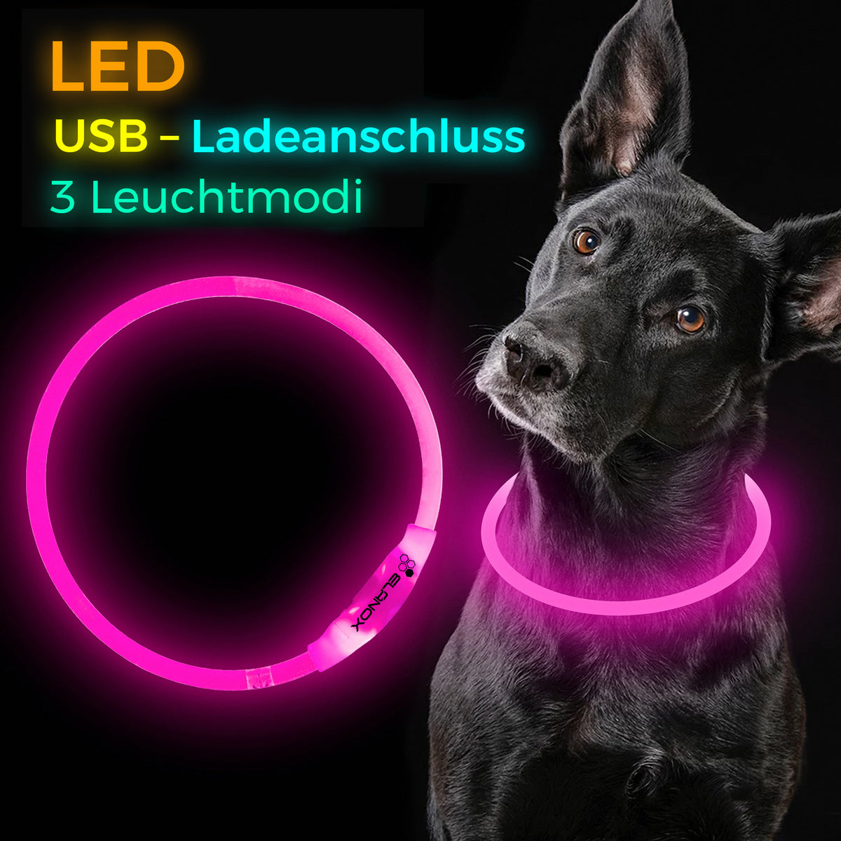 LED Hunde Halsband wiederaufladbar via USB, zuschneidbar, Farbe: PINK –  elanox