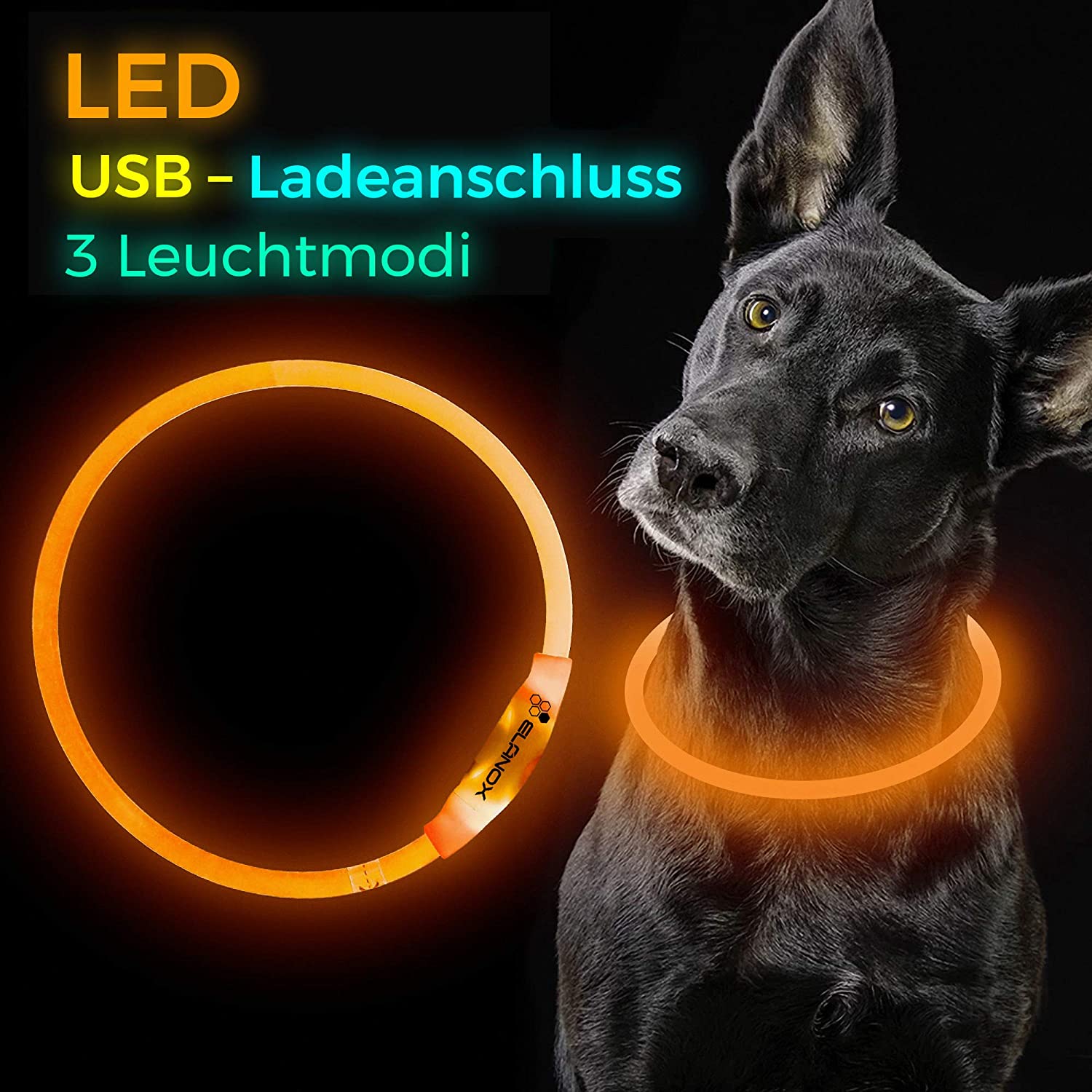 LED Hundehalsband Orange