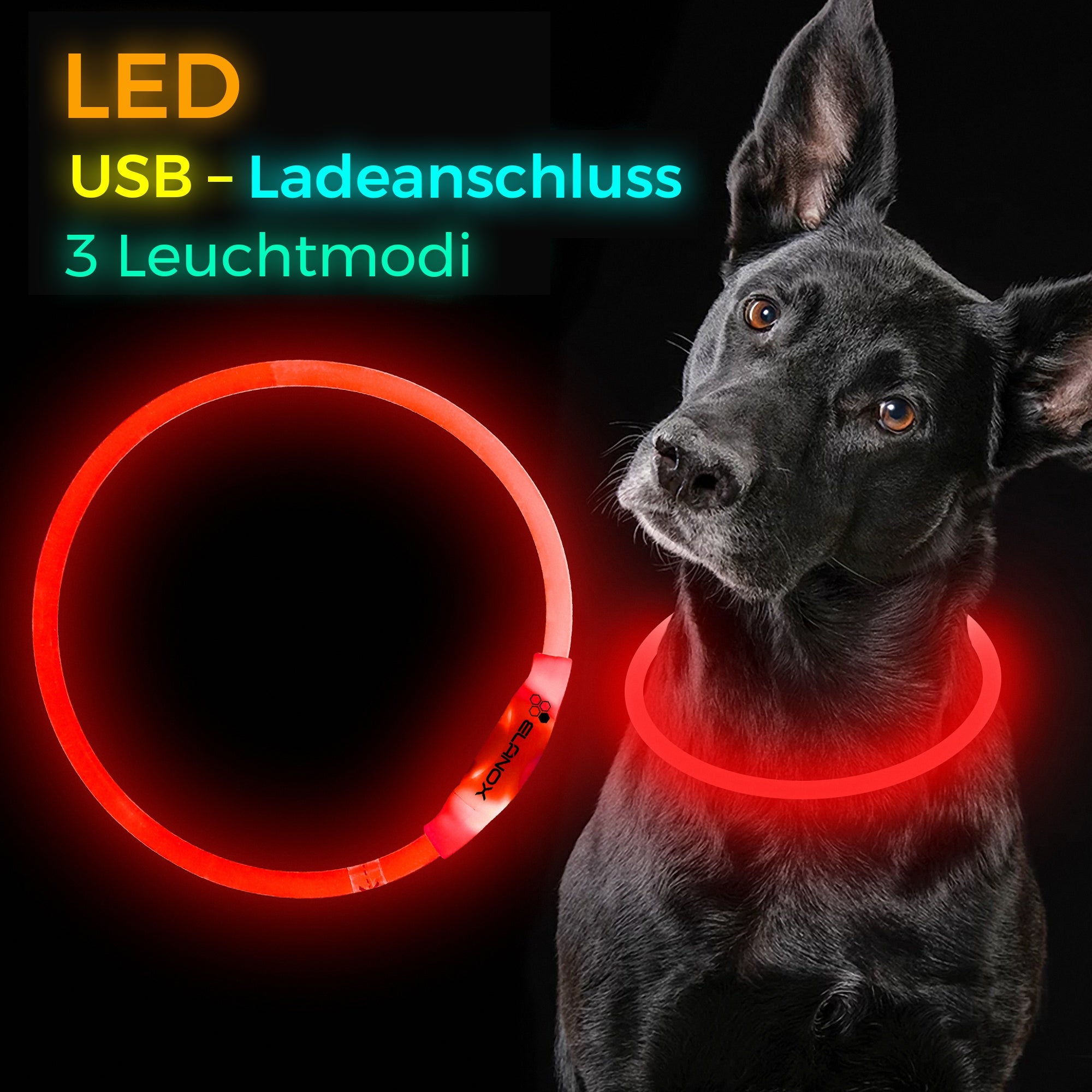 LED Hundehalsband Rot