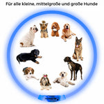 LED Hunde Halsband wiederaufladbar via USB, zuschneidbar, Farbe: BLAU