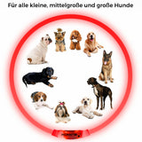 LED Hunde Halsband wiederaufladbar via USB, zuschneidbar, Farbe: ROT