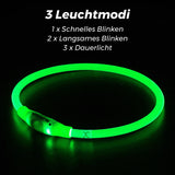 LED Hunde Halsband wiederaufladbar via USB, zuschneidbar, Farbe: GRÜN