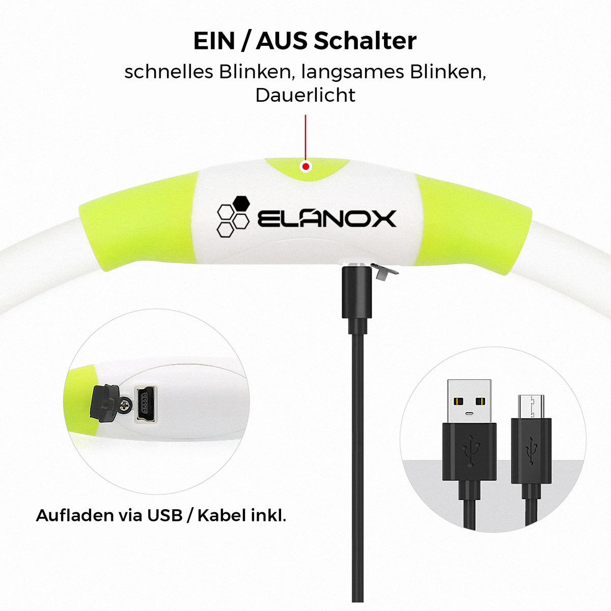 LED Hundehalsband aufladbar Grün – Ansicht 3