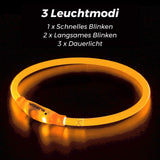 LED Hunde Halsband wiederaufladbar via USB, zuschneidbar, Farbe: ORANGE