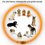 LED Hunde Halsband wiederaufladbar via USB, zuschneidbar, Farbe: ORANGE