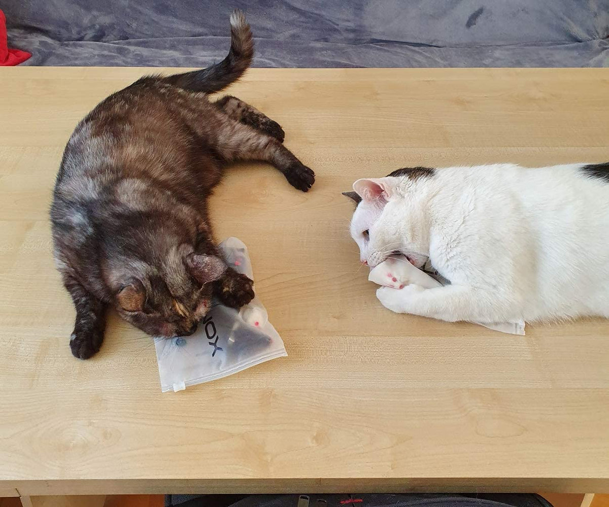 Spielmäuse mit Katzenminze 10 Stück – Ansicht 4