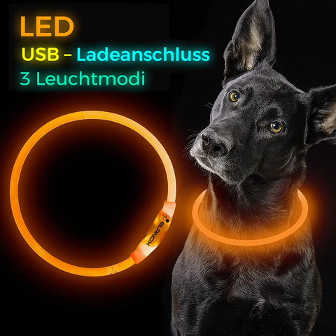 LED Hunde Halsband wiederaufladbar via USB, zuschneidbar, Farbe: ORANGE