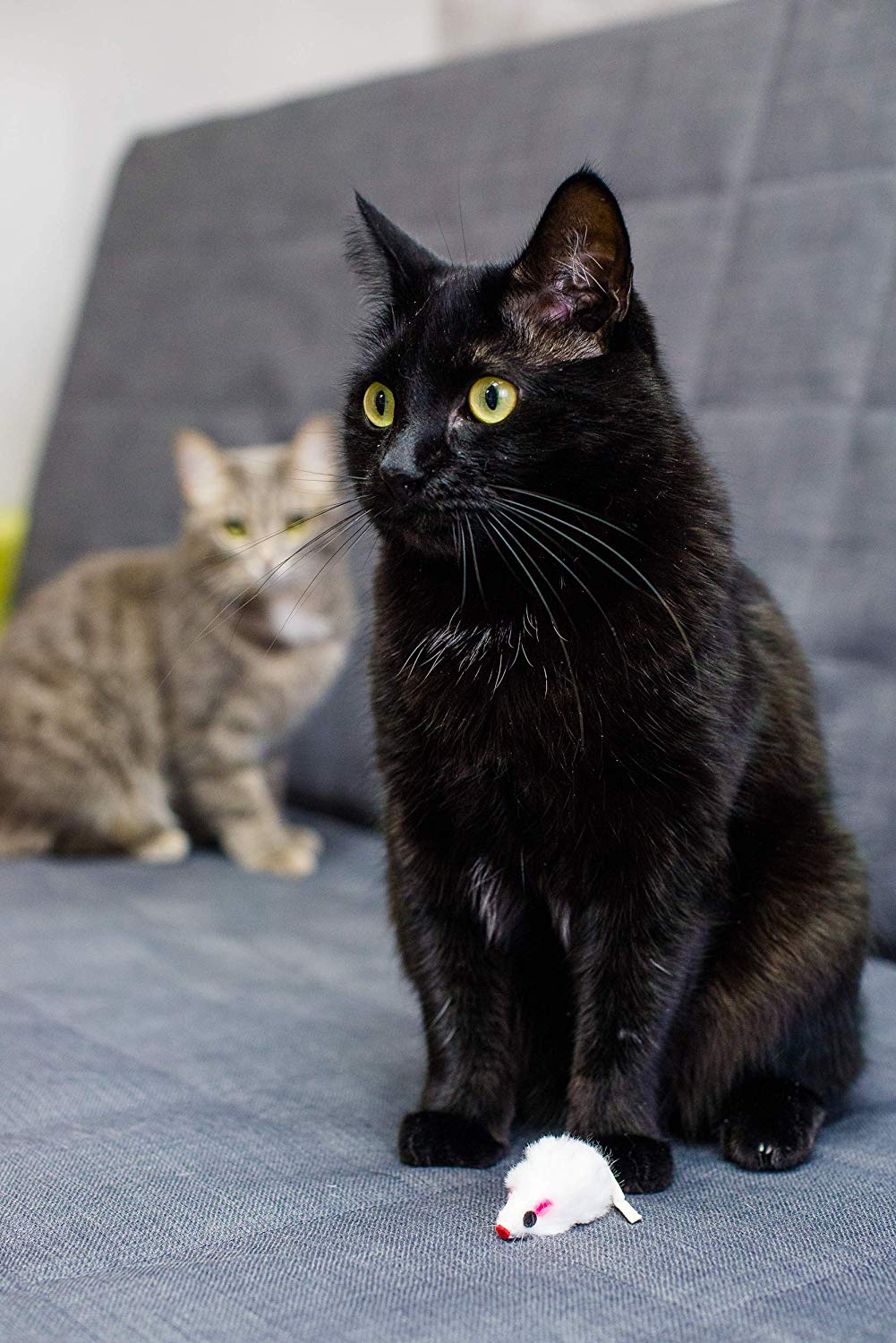 Spielmäuse mit Katzenminze 10 Stück – Ansicht 6