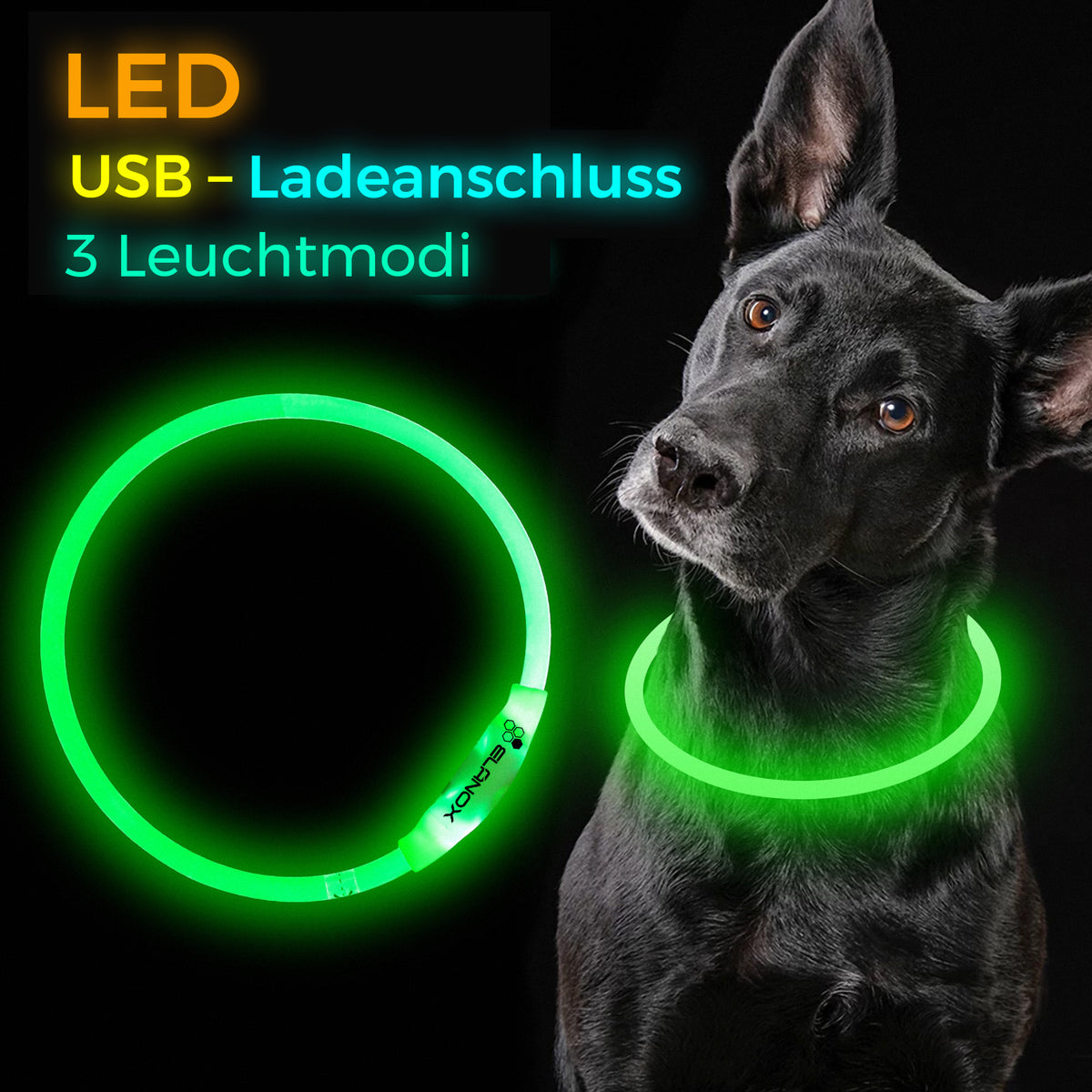 LED Hundehalsband aufladbar Grün