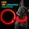 LED Hunde Halsband wiederaufladbar via USB, zuschneidbar, Farbe: ROT
