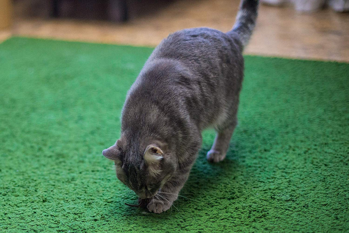 Spielmäuse mit Katzenminze 10 Stück – Ansicht 7