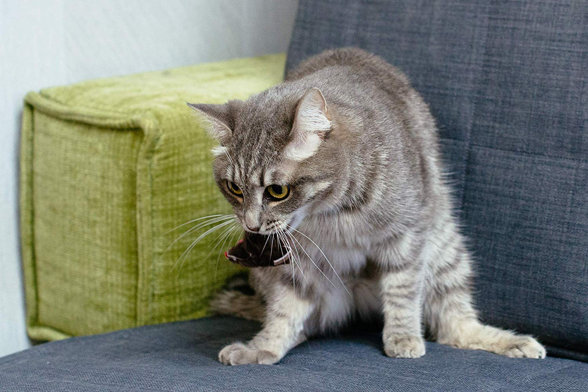 Spielmäuse mit Katzenminze 10 Stück – Ansicht 5